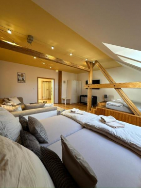 Apartmán u Dómu, Olomouc
